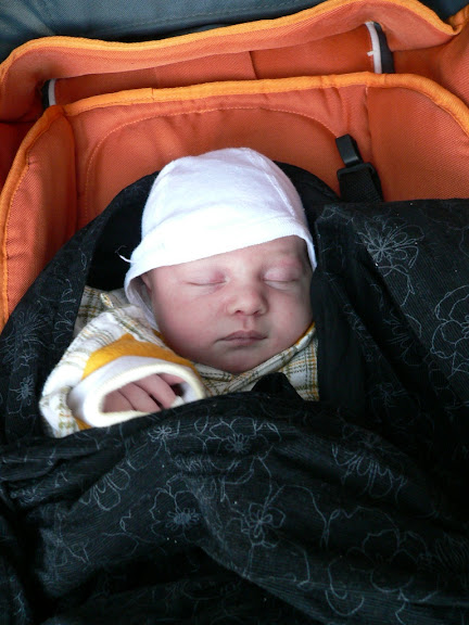 Maty1004.JPG