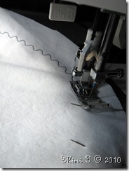 Serpentine Stitching the  Layers