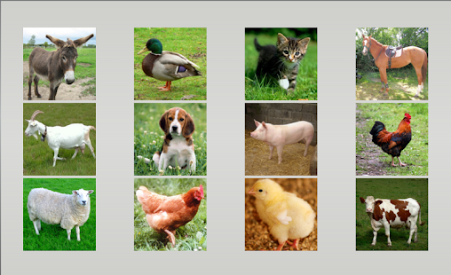 Animal sounds Screenshots 1