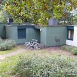 S6300863.JPG