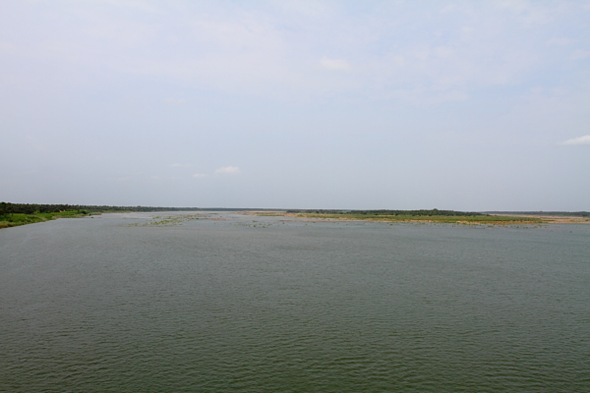 A View of Godavari River