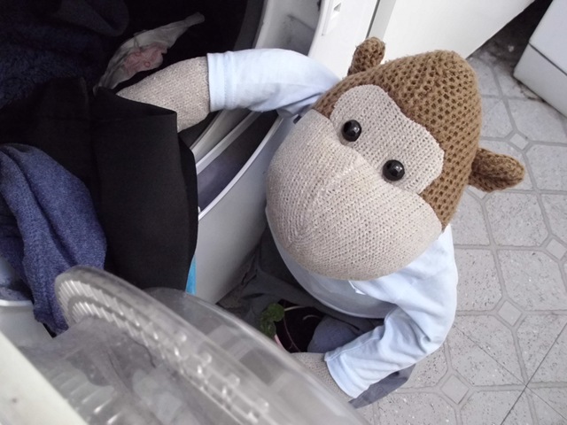 [Monkey Loading the Tumble Dryer 2[4].jpg]