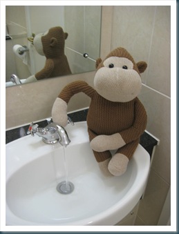 Monkey in Bathroom