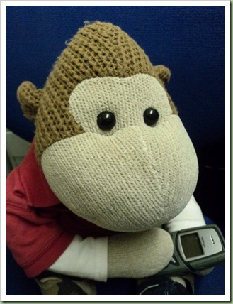 texting Monkey