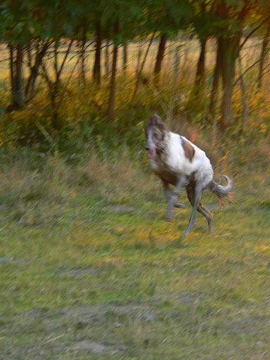 P1100096.JPG