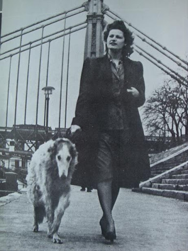borzoi_karady2.jpg