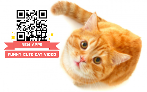 Funny Cute Cat Video Screenshots 0