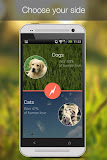 Cat Vs Dog -pet photos