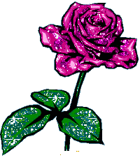 rosas (15)