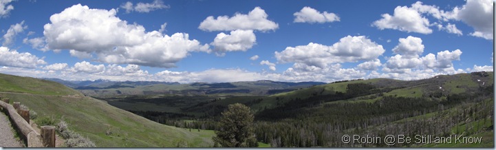 yellowstone panoramic June 2010