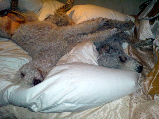 DSC00366%5B6%5D.jpg