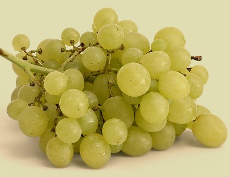 [White-grapes[18].jpg]