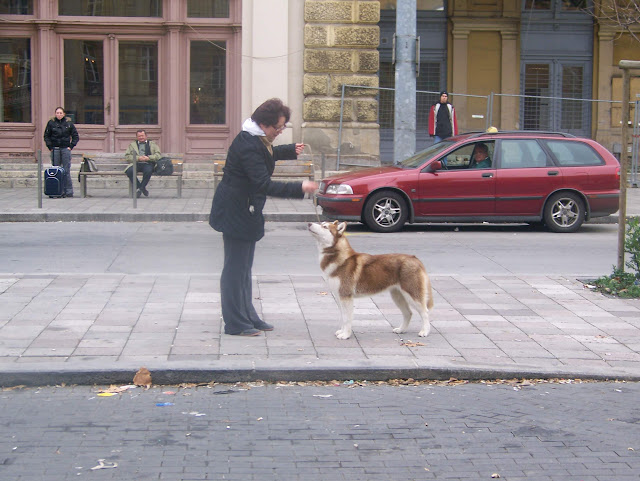100_1709.JPG