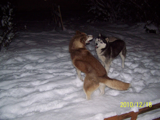 100_2121.JPG