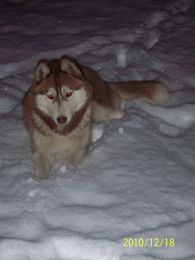 100_2103.JPG