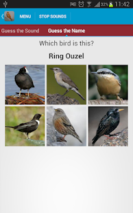 Spanish Birds Sounds Screenshots 21