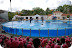zoo7.jpg