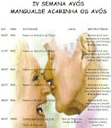 avós - até 8 julho.jpg