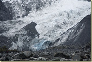 Glaciar Franz Josef (35)