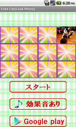 【免費休閒App】Cute Cat(Look Photo)-APP點子