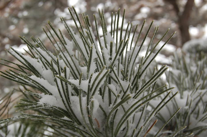 K%C3%A9p%20107.jpg