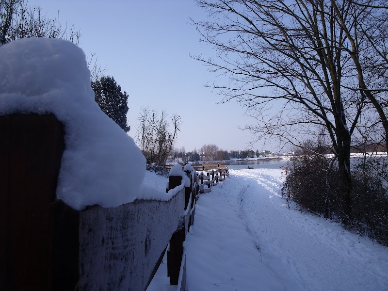 DSCF2887.jpg