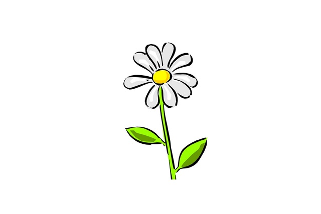 [daisy[7].jpg]