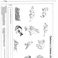 DOCUMENT0049.jpg