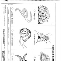 DOCUMENT0056.jpg
