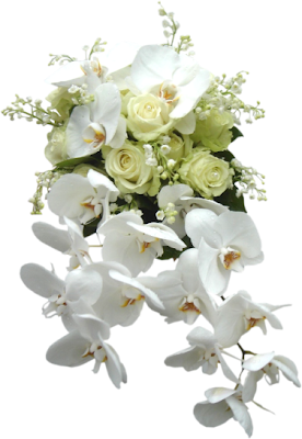 Fleur2.png