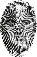 fingerprint illusion