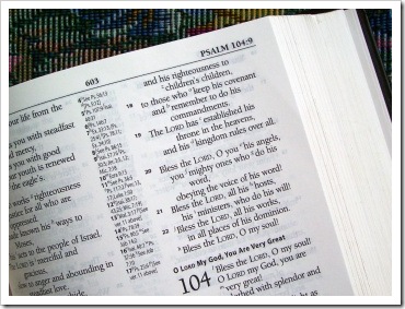 Psalm 104