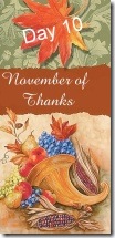 November of Thanks 10 at 'Rebecca Writes'