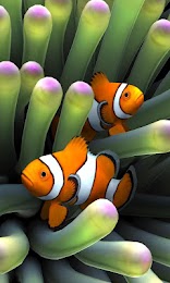 Sim Aquarium Live Wallpaper 1