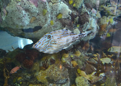 DSC_1566 (1280x914) DSC_1566 (1280x914)
