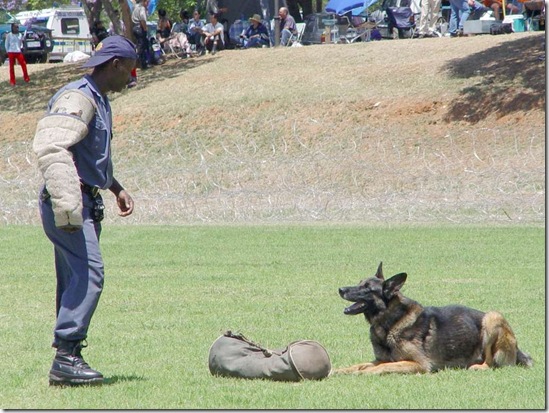 Police dog training units are demoralised in South Africa writes this author
