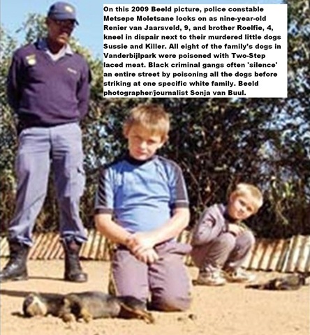 [Dogs poisoned Afrikaans kids grieve VdBijlParkApr182009[13].jpg]