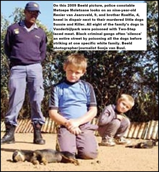 Dogs poisoned Afrikaans kids grieve VdBijlParkApr182009
