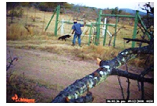 [Witwater Game Reserve POACHER CAUGHT ON CAMERA NOV202010 EBLOCKWATCH GERD[8].jpg]