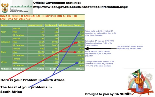 [Racial composition of jailed SA criminals SA correctional services STATS[5].jpg]