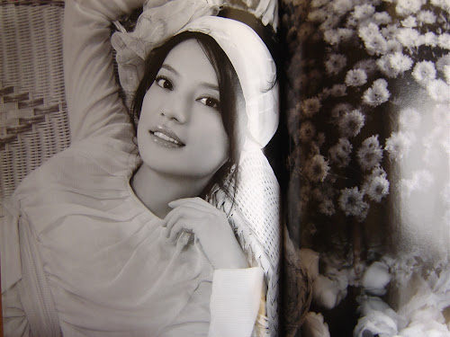 Vicki Zhao Wei