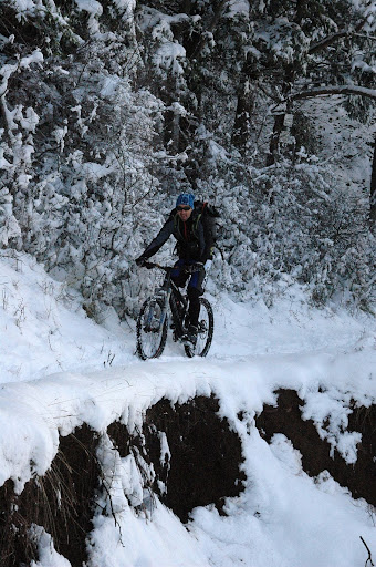 coronato%20snow031_modified.jpg
