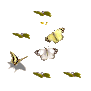 b.png