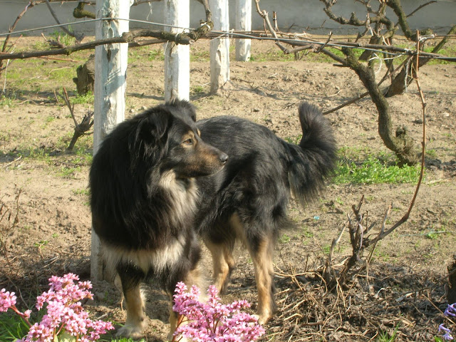 DSCN2630.JPG