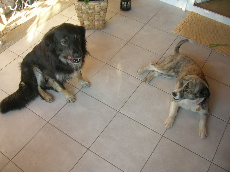 DSCN2663.JPG