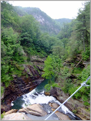 Looking Down the Gorge From the Suspension Bridge