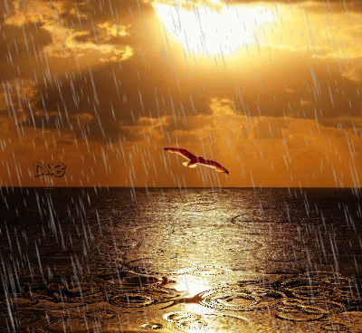 chuva19.png