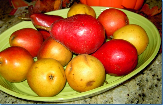 fall pears 003