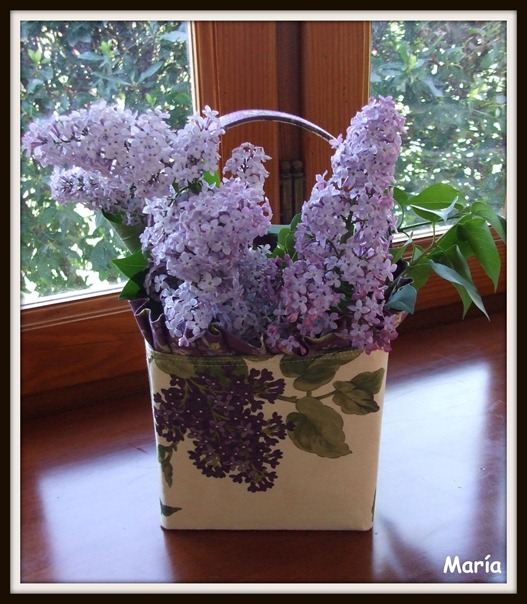 Lilas-3 Lilas-3