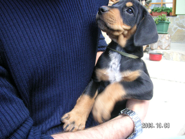 PICT0473.JPG